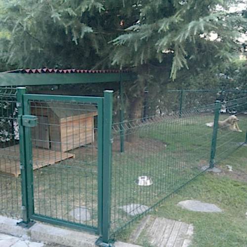 evcil hayvan barınağı kapısı